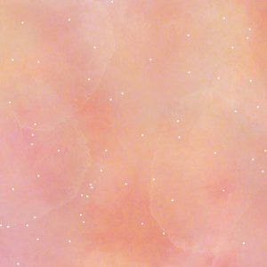 Meet your Posher, Janine